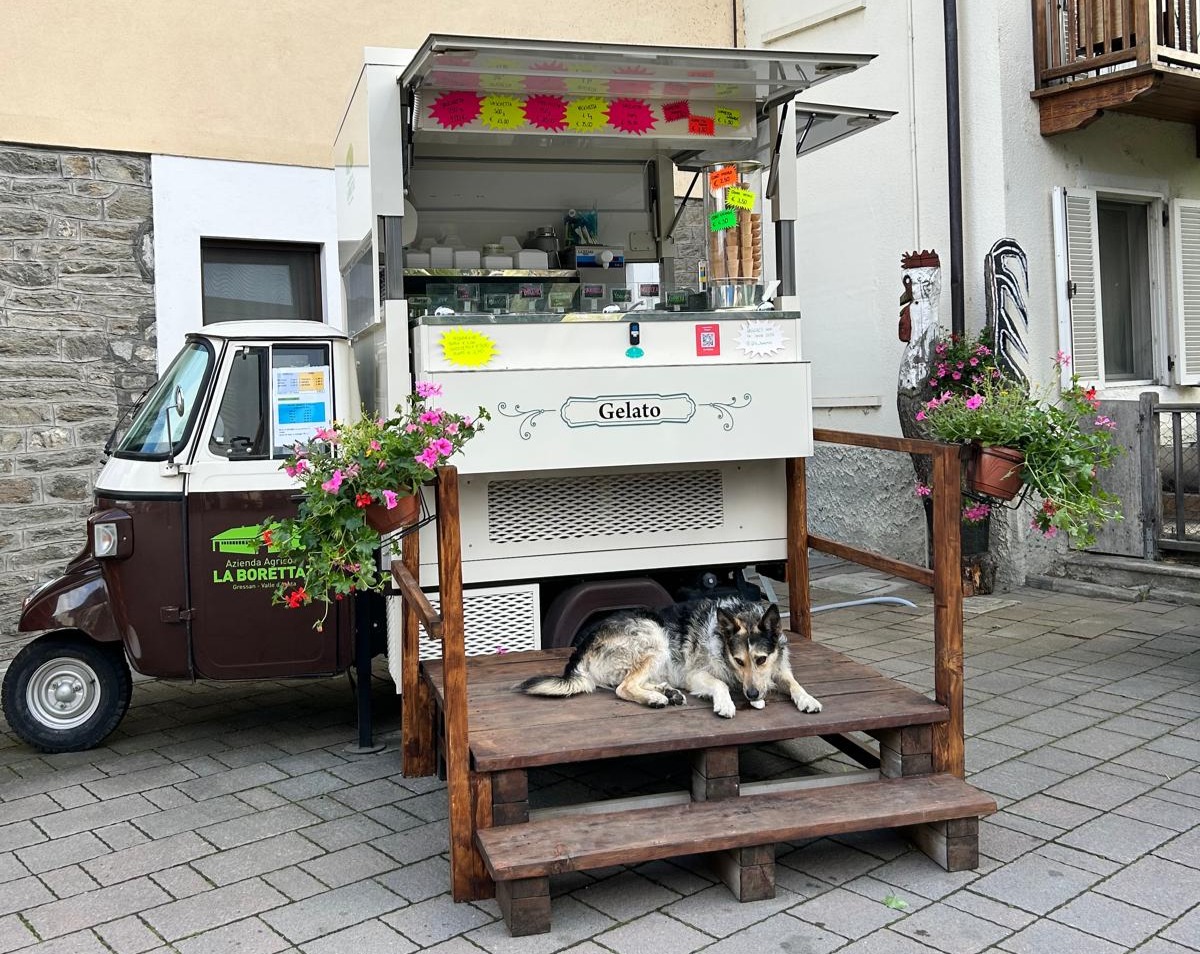 Agrigelato in fattoria