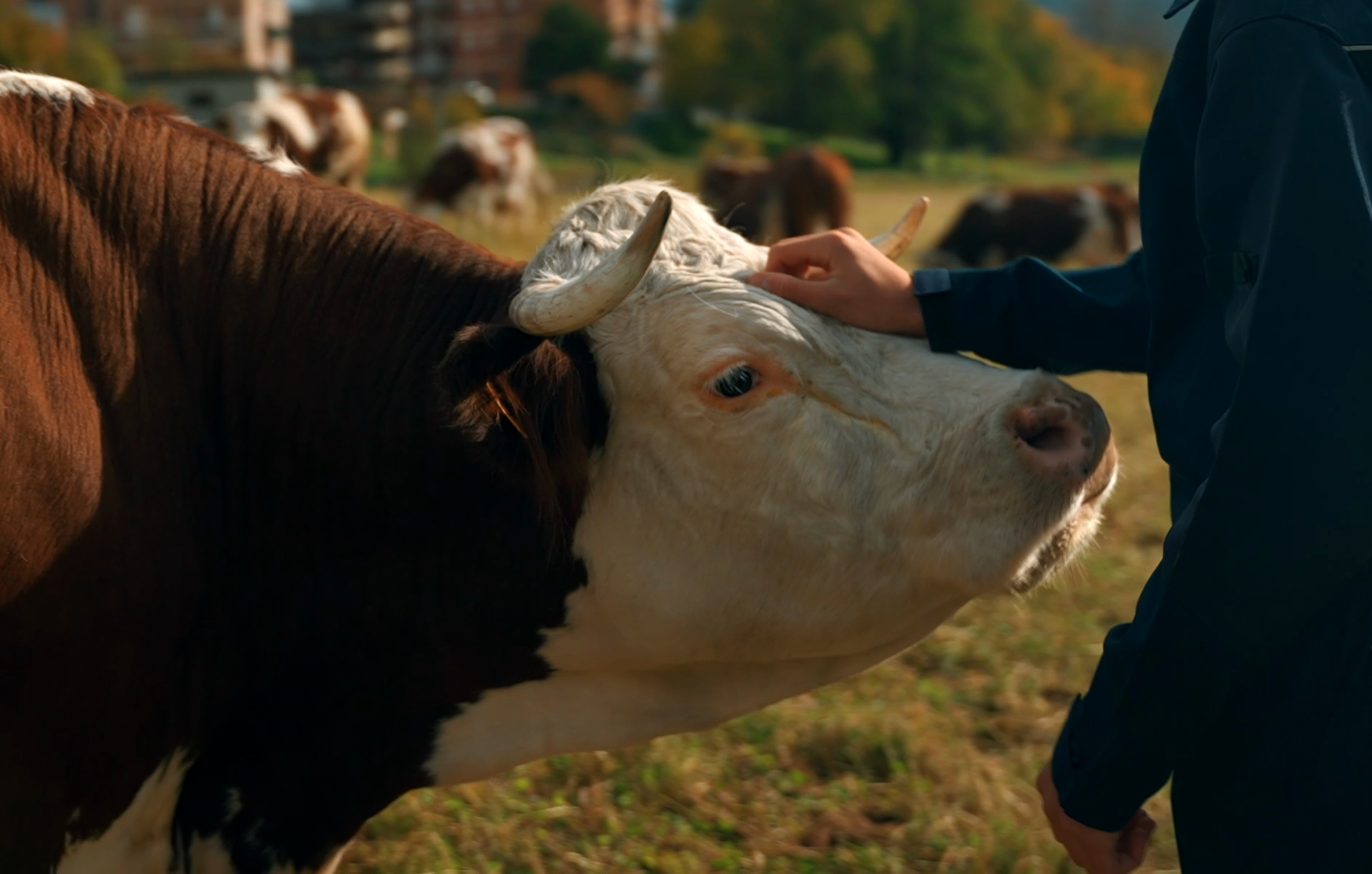 Institut Agricole Régional - Aosta