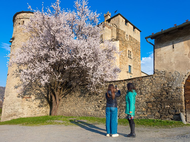 Festa della Mamma - Sarriod de la Tour