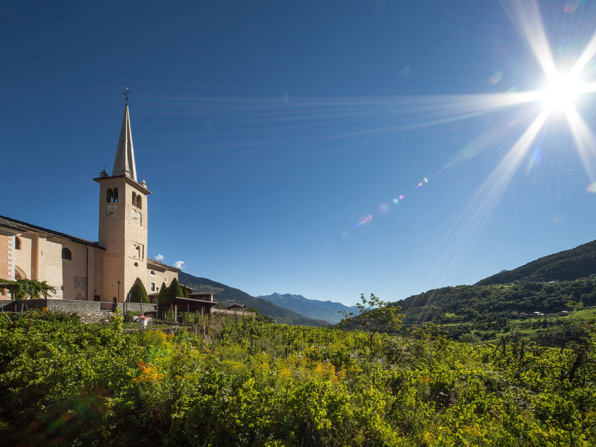 Chiesa e vigneti di Introd