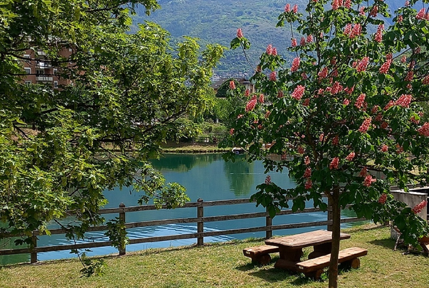 Area picnic Lago Bertina